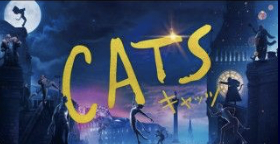 cat’s