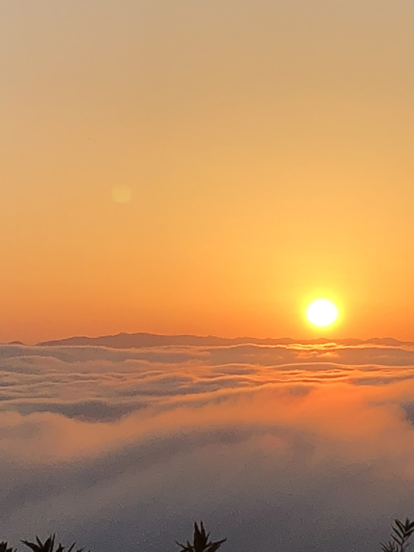 霧の海