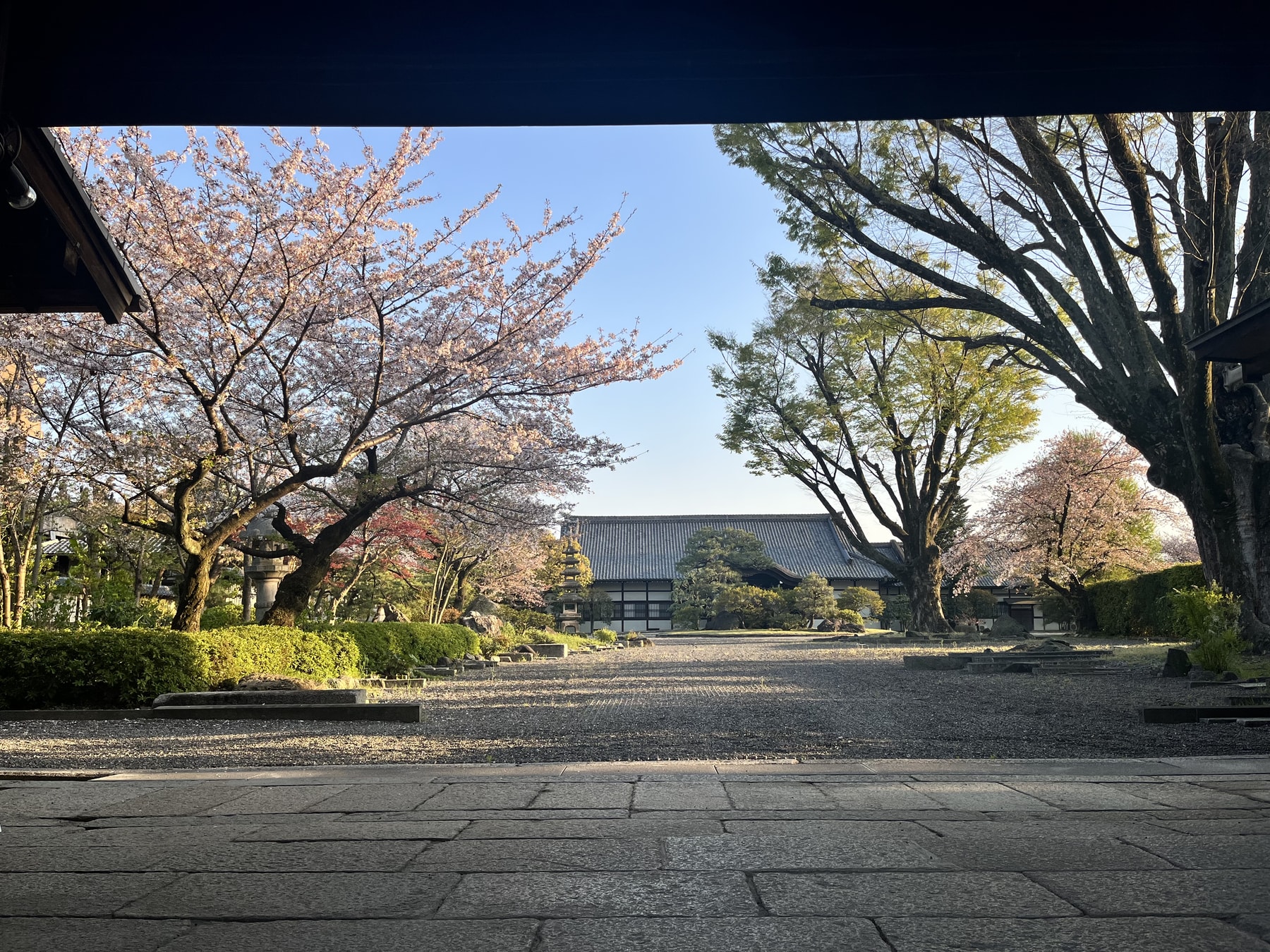 🌸京都旅行🌸