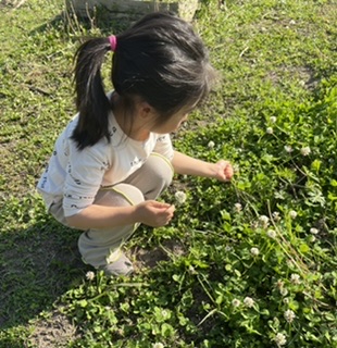 5月6月のスケジュール^_^