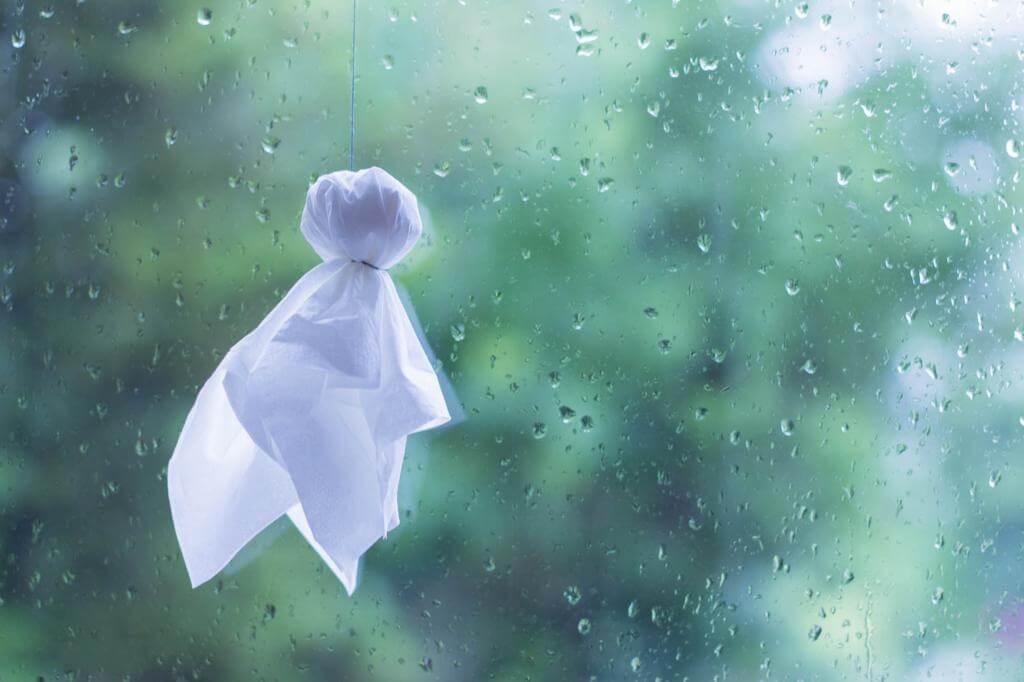 気温にご注意！！