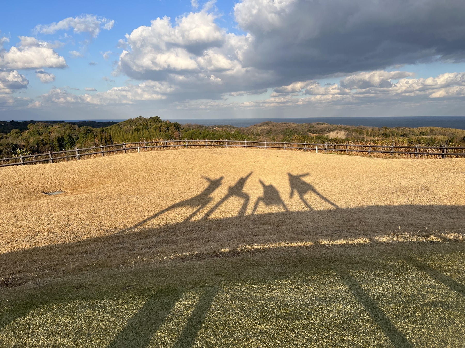 沖野 莉央です！