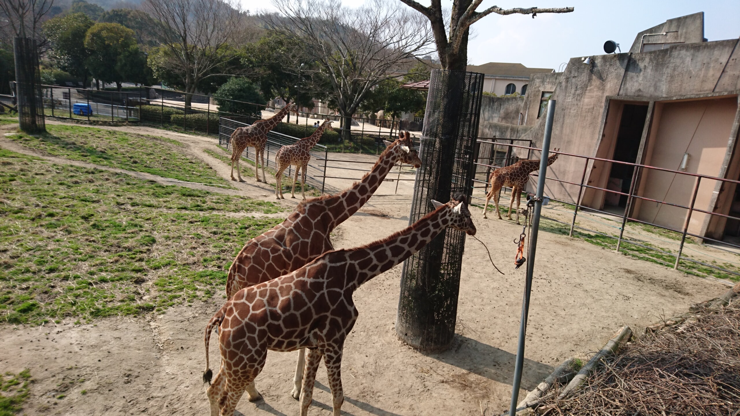 動物園🐘