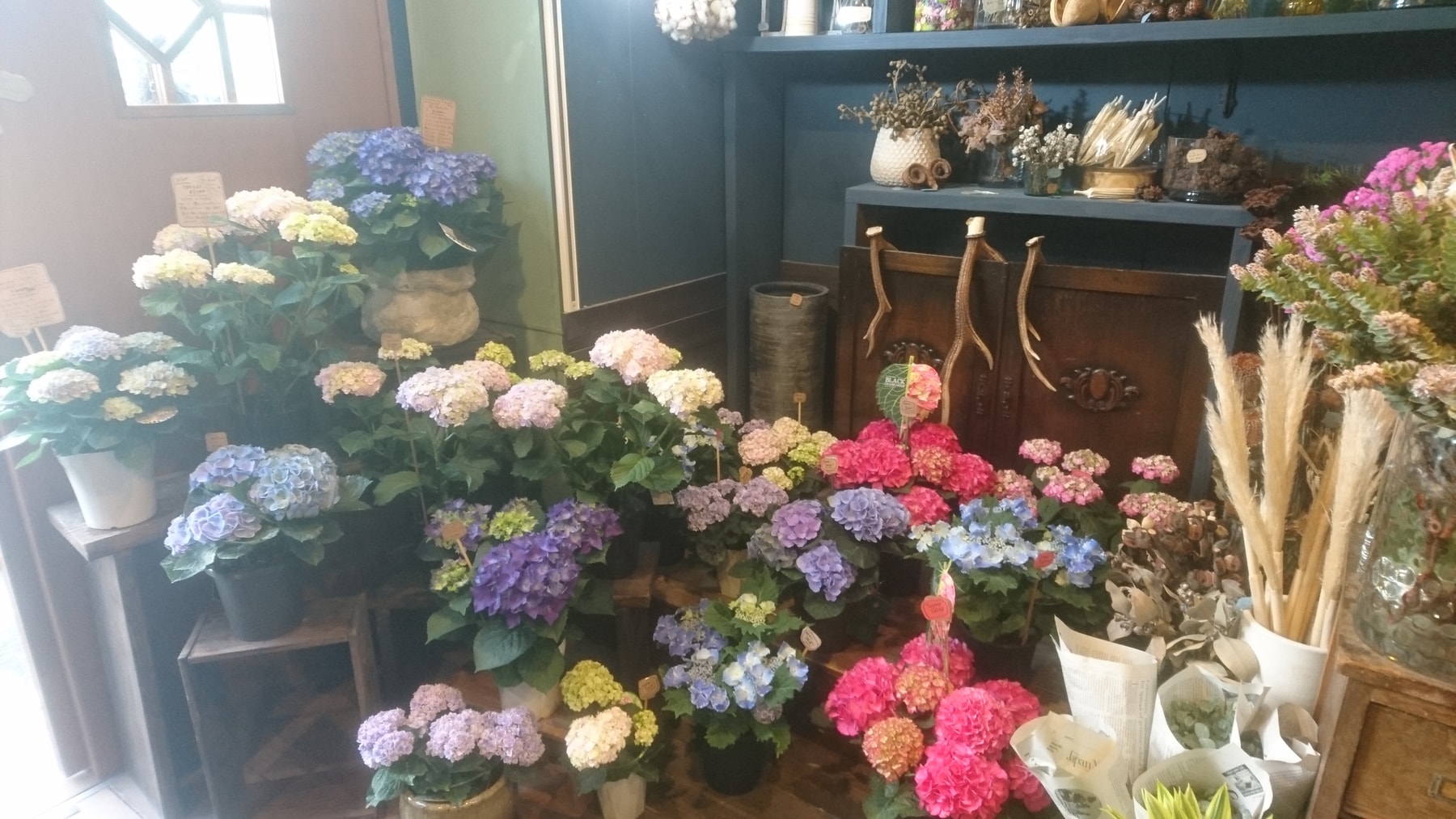 お花屋さん