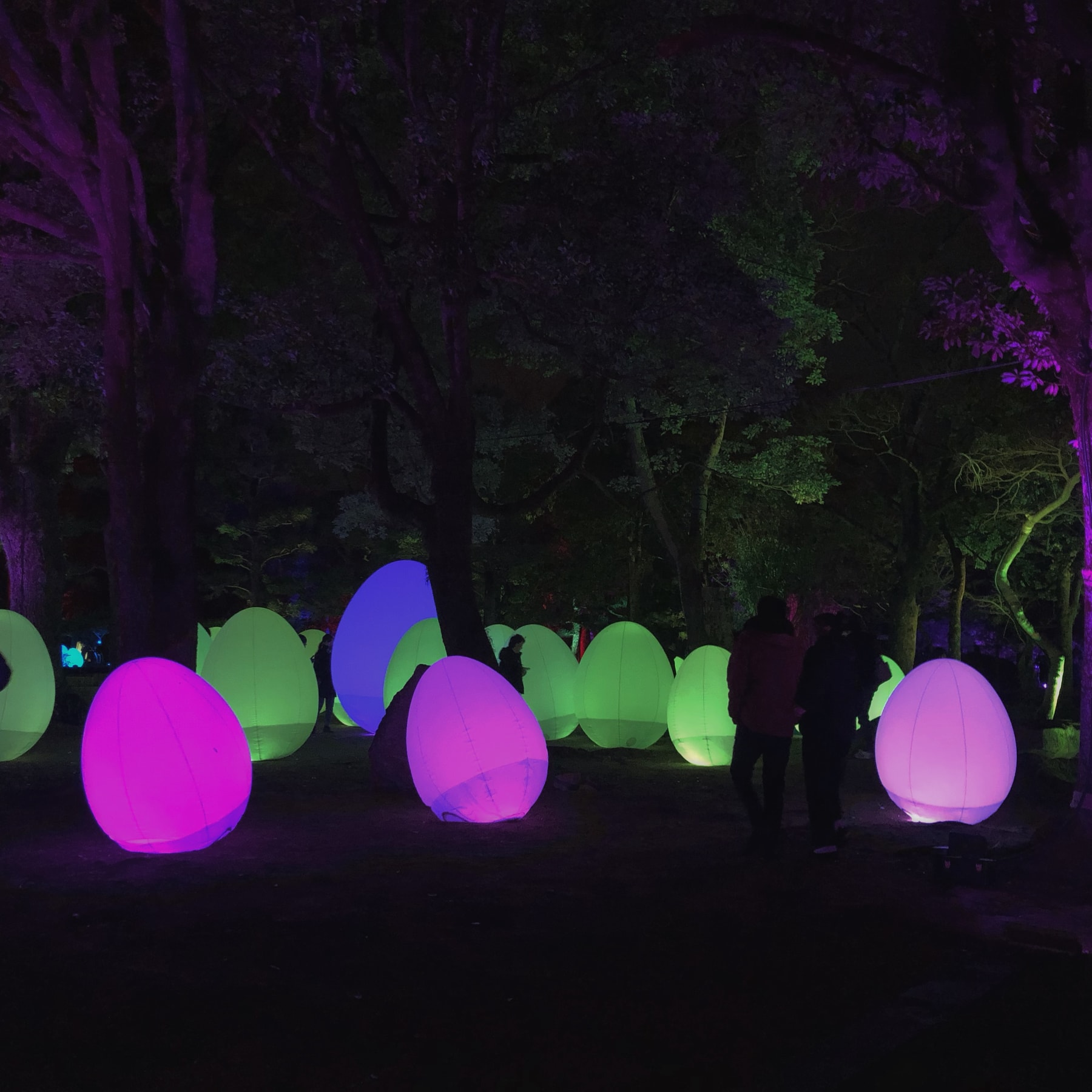 光の祭☆