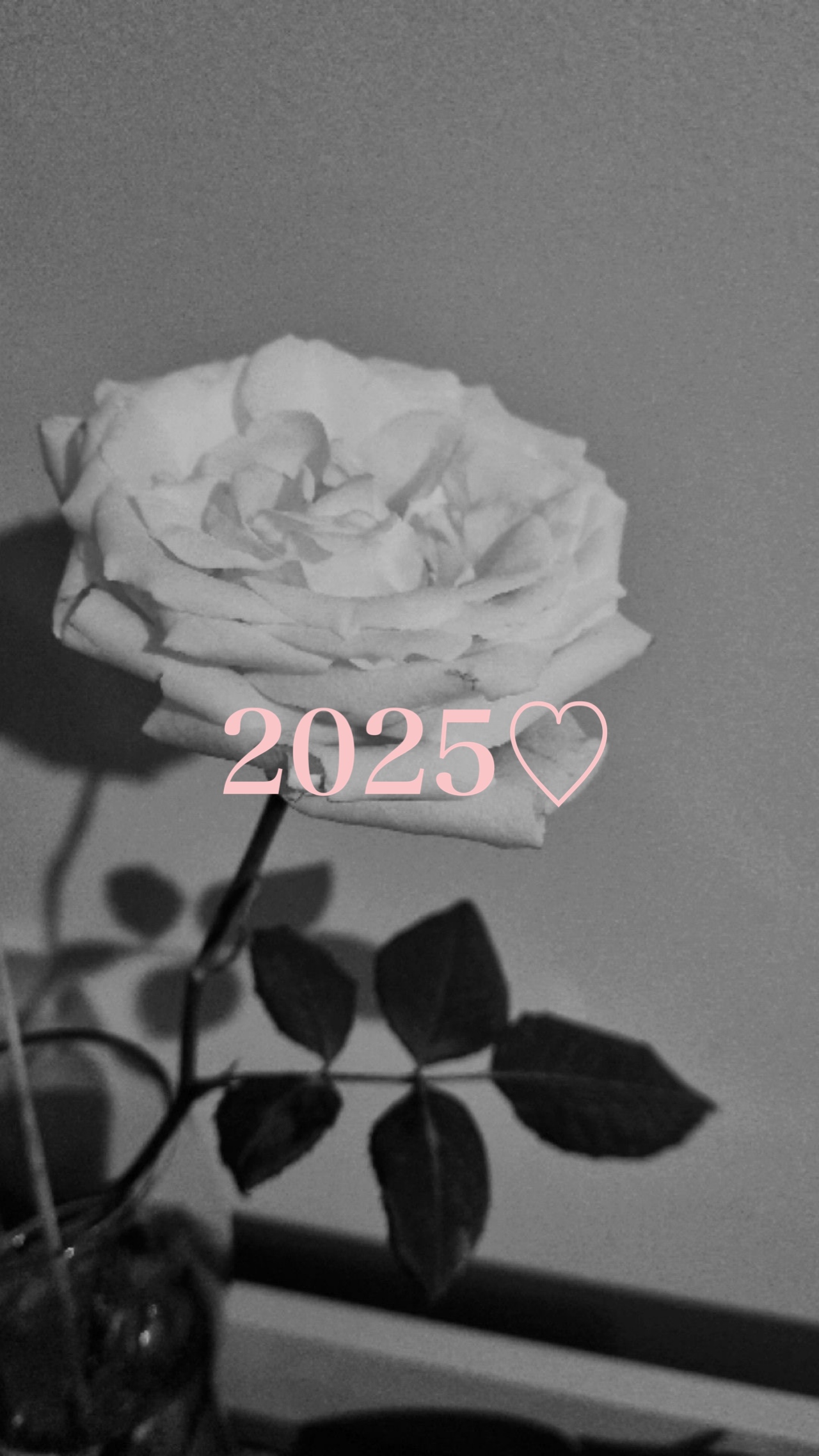 今年もあと少し…♡