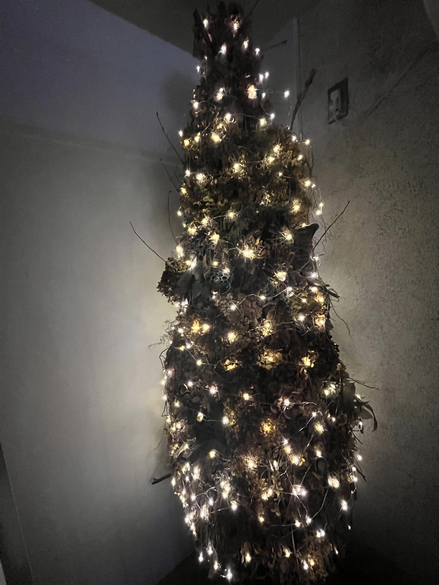 12月からの和田スケジュール